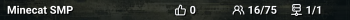 Minecat SMP