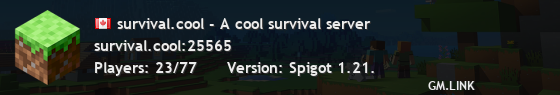survival.cool - A cool survival server