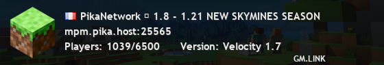 PikaNetwork ▏ 1.8 - 1.21 NEW SKYMINES SEASON