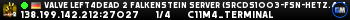 Valve Left4Dead 2 Falkenstein Server (srcds1003-fsn-hetz.421.13