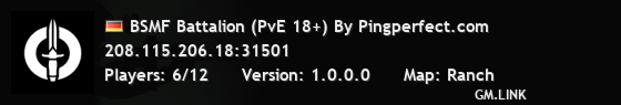 BSMF Battalion (PvE 18+) By Pingperfect.com