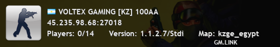 VOLTEX GAMING [KZ] 100AA