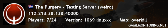 The Purgery - Testing Server (weird)