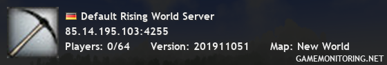 Default Rising World Server