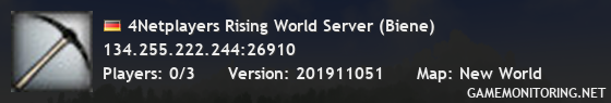 4Netplayers Rising World Server (Biene)