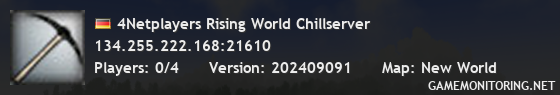 4Netplayers Rising World Chillserver