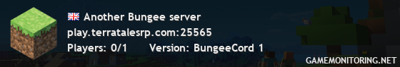 Another Bungee server