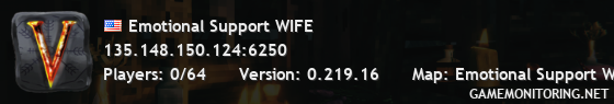 Emotional Support WIFE