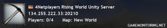 4Netplayers Rising World Unity Server