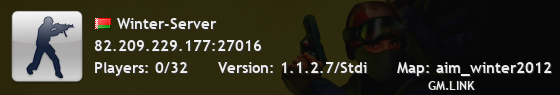 Winter-Server