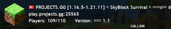PROJECTS.GG [1.16.5-1.21.11] ☄ SkyBlock Survival ⛏ ᴘʀᴏsᴍᴘ 🗡 PvP/ / 🍁 /