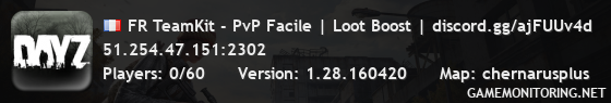 Serveur DayZ TeamKit